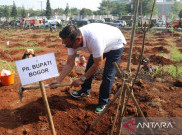 Pemkab Bogor Bangun Hutan Kota Di Kawasan Stadion Pakansari