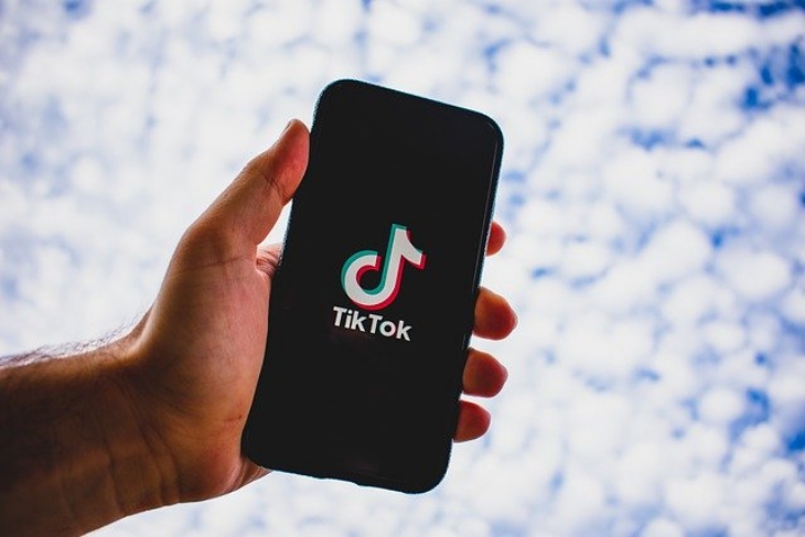 TokTok menjadi aplikasi wajib bagi fakgirls. (Foto: Pixabay/konkarampelas)