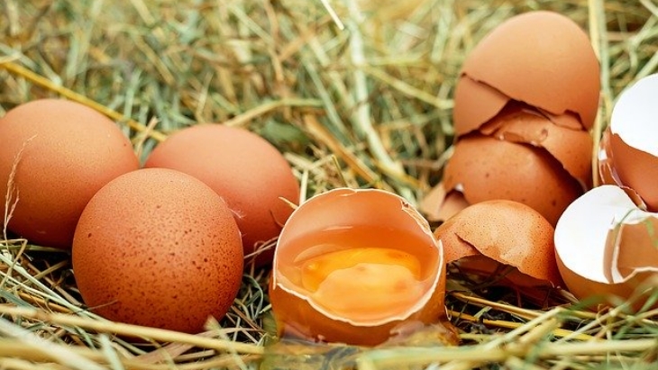 Tips Memilih Telur yang Aman dan Sehat