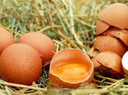 Tips Memilih Telur yang Aman dan Sehat