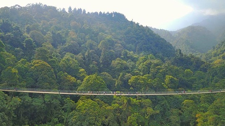 Jembatan Gantung di Tengah Hutan ini Jadi Objek Wisata Favorit Sukabumi
