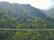 Jembatan Gantung di Tengah Hutan ini Jadi Objek Wisata Favorit Sukabumi