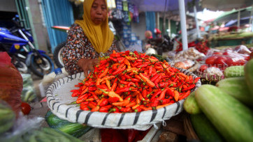 Menilik Harga Cabai Rawit Merah Kian Merangkak Naik 