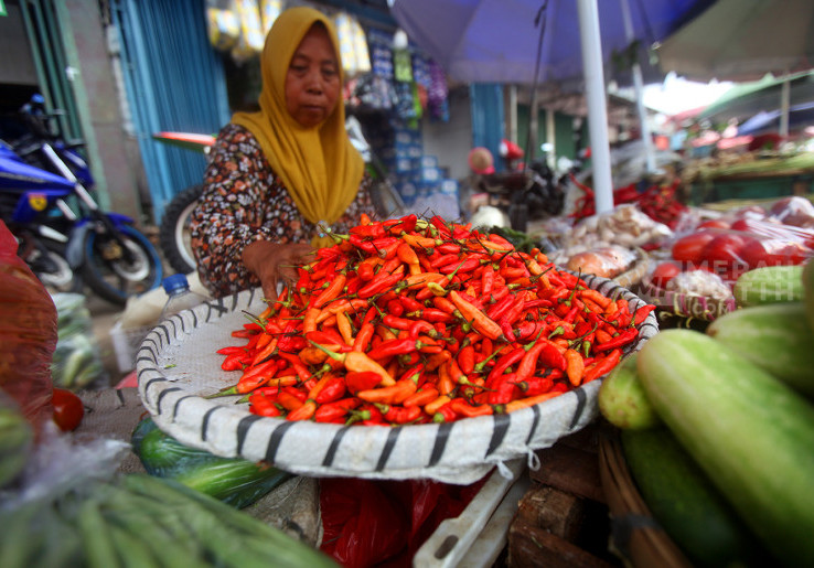 Harga Pangan Nasional Kompak Turun pada 24 November, Cabai dan Daging Sapi Paling Signifikan