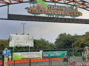 20 Juni Kebun Binatang Dibuka, Pengunjung Dibatasi 1.000 Per Hari