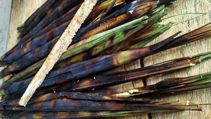 Sajian Khas Mentawai, dari Makanan Pokok hingga Kuliner Ekstrem