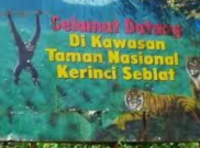 Kerap Dirambah, Taman Nasional Kerinci Seblat Restorasi Ekosistem Hutan