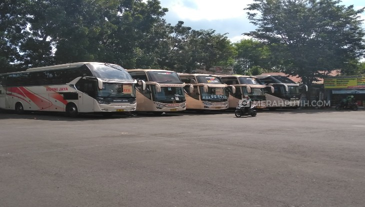 Pengelola Bus Pelanggar Perjalanan PPKM Darurat Langsung Dibekukan Izinya