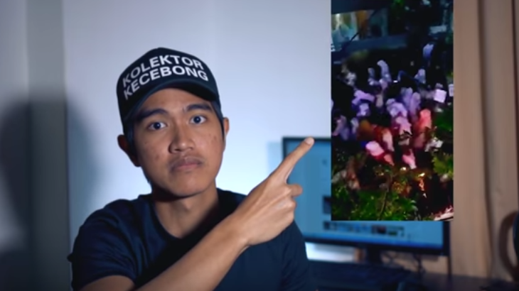 Ketiga Saksi Nyatakan Video Kaesang Tidak Memenuhi Unsur Pidana