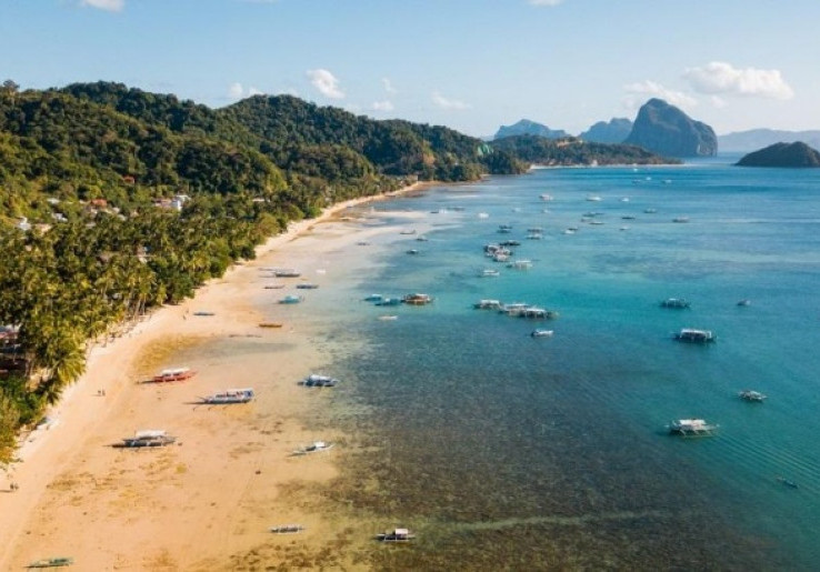Sepi Pengunjung Pasca Lockdown, Pantai Filipina Diserbu Ribuan Ubur-Ubur Merah