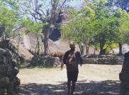 Mau Backpacker ke Sumba Barat? Wajib Siapkan 4 Barang Ini