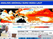 Ancaman El Nino Bisa Picu Krisis Listrik Nasional Sampai Januari 2027