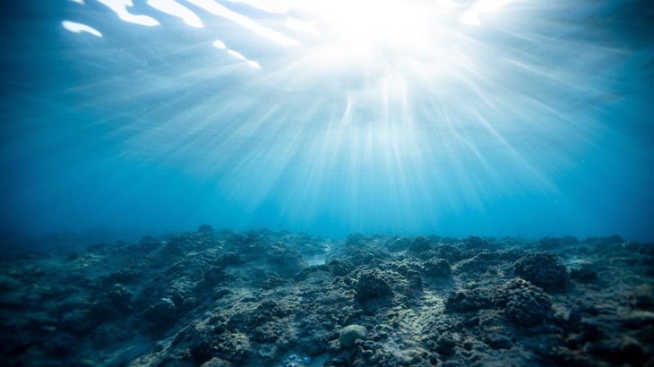 Keadaan Laut dapat Pulih pada Tahun 2050 Menurut Para Ilmuwan