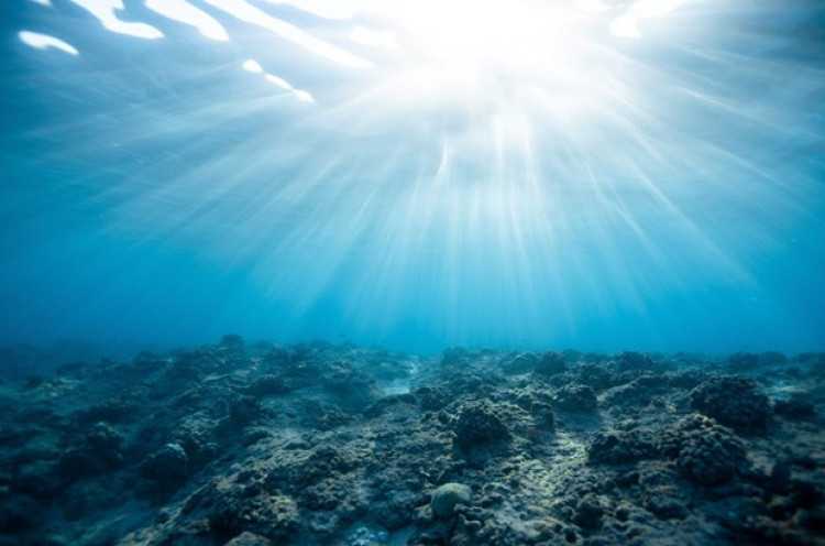 Keadaan Laut dapat Pulih pada Tahun 2050 Menurut Para Ilmuwan
