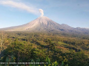 Gunung Semeru Bergemuruh Sejak Pagi, 21 Kali Gempa Erupsi dalam 6 Jam