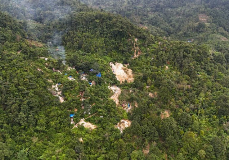 Ratusan Lubang Tambang Ilegal Bikin Taman Nasional Halimun Salak Bolong-Bolong