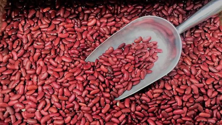 Menutrisi Tubuh dan Menurunkan Berat Badan dengan Kacang Merah
