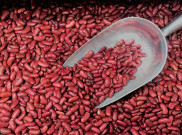 Menutrisi Tubuh dan Menurunkan Berat Badan dengan Kacang Merah