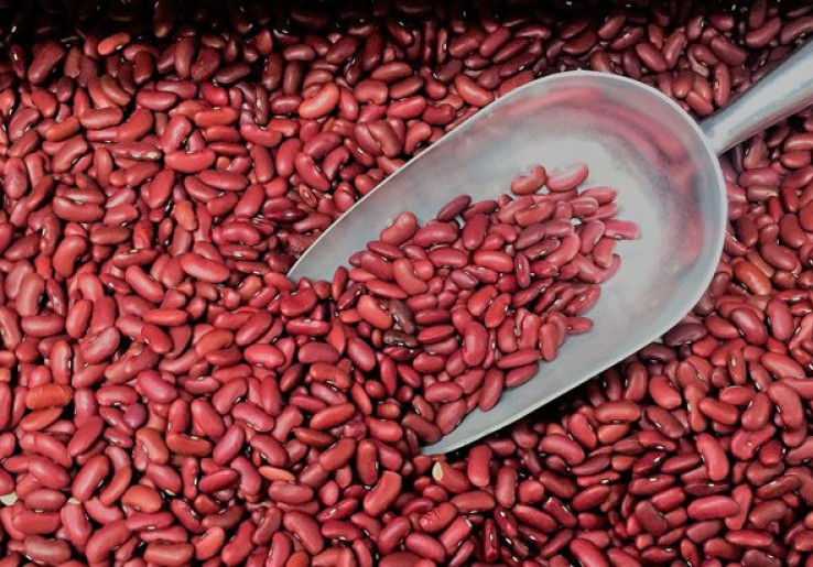 Menutrisi Tubuh dan Menurunkan Berat Badan dengan Kacang Merah
