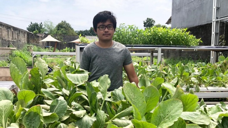 Perjalanan Samuel Samsuddin Meraih Sukses lewat Kebun Hidroponik