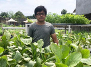 Perjalanan Samuel Samsuddin Meraih Sukses lewat Kebun Hidroponik