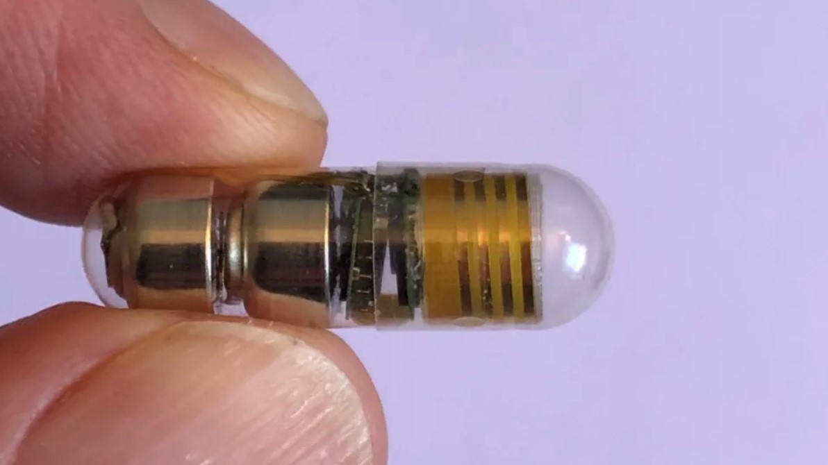 MIT Uji Kapsul Sensor Pernapasan Melalui Usus yang Dapat Dicerna 