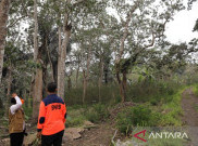 Warga di 6 Desa Kaki Gunung Lewotobi Laki-Laki Bakal Direlokasi