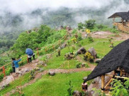 Pesona Cadas Gantung Majalengka Sebagai Destinasi Baru Jawa Barat