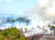 2 Jam Operasi Modifikasi Cuaca di Kalteng Gagal, 800 Kg Garam Tak Mampu Turunkan Hujan