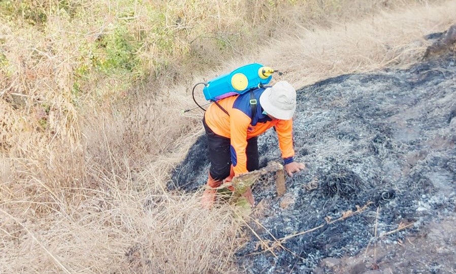 4 Hektare Lahan Gunung Gandul Wonogiri Ludes Terbakar, Pemadaman Terkendala Medan yang Sulit