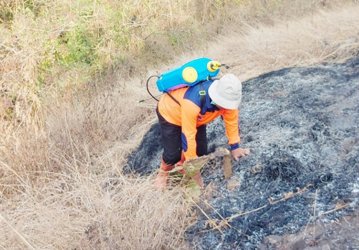 4 Hektare Lahan Gunung Gandul Wonogiri Ludes Terbakar, Pemadaman Terkendala Medan yang Sulit