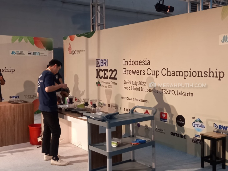 IBrC ICE 2022