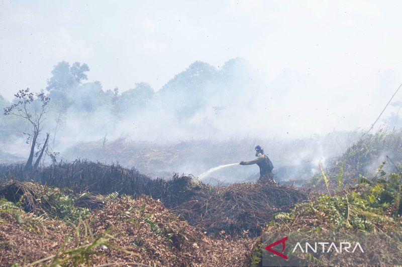 Pusat Rehabilitasi Orang Utan YIARI Terancam Karhutla di Kalbar, BNPB Lakukan Water Bombing