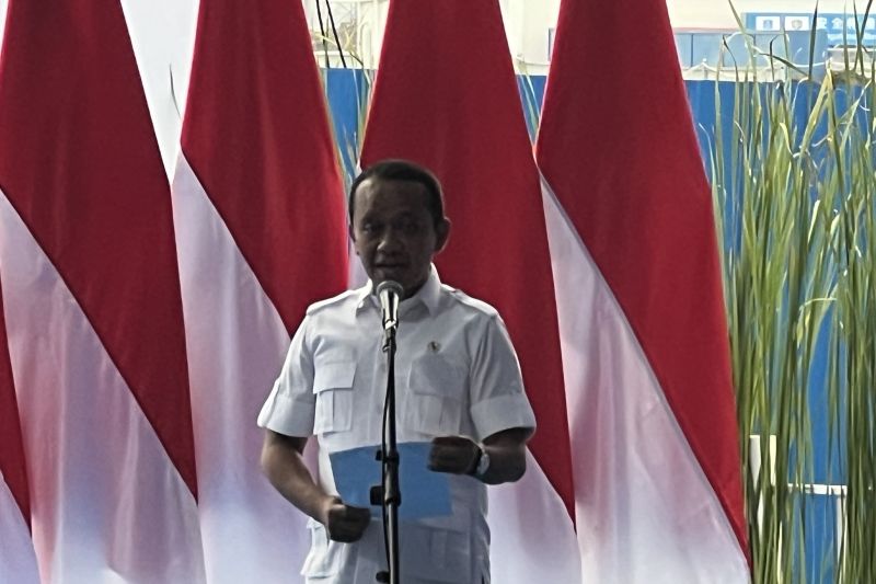 Bekas Tambang Bakal Dijadikan Tempat Budidaya Perikanan, Dimulai di Maluku Utara