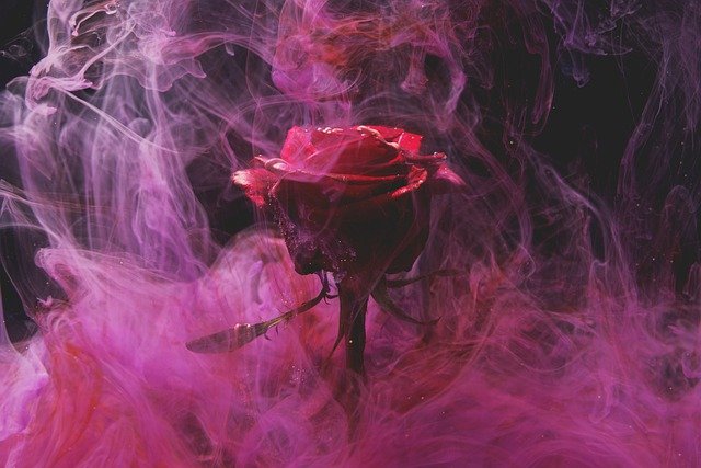 Jangan Ragu, Perempuan Juga Boleh Memberi Bunga ke Laki-Laki saat Hari Valentine