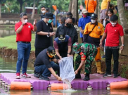 Sekjen PDI Perjuangan Bercerita Kuliner Populer di Irak 'Ikan Soekarno'