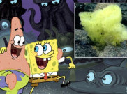 SpongeBob dan Patrick Asli Ditemukan di Samudra Atlantik