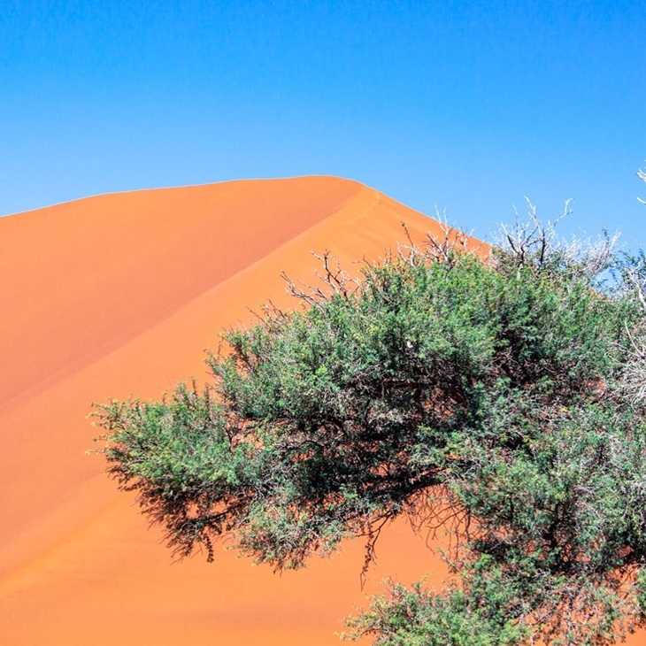 Namib Desert. (Foto: instagram.com/naturfoto_und_so)