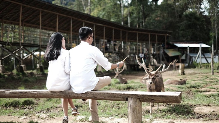 Rayakan Valentine di Bandung, Cek Tempat Wisata Paling Romantis Berikut Ini