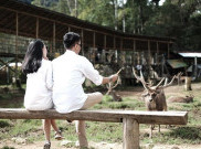 Rayakan Valentine di Bandung, Cek Tempat Wisata Paling Romantis Berikut Ini