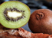 Suka Makan Buah Kiwi? Ini Manfaat Kesehatan yang Kamu Dapatkan