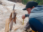 8 Kereta Terdampak, KAI Kebut Normalisasi Rel Imbas Banjir Grobogan