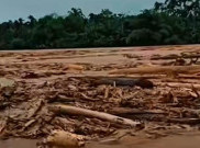 Kayu Gelondongan Terbawa Banjir, Kemenhut Sinyalir Modus Pembalakan Liar