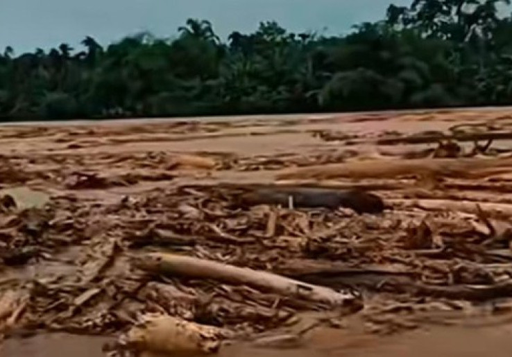 DPR Soroti Bencana Ekologis, Minta Satgas PKH Berani Ungkap Aktor Besar di Balik Penebangan