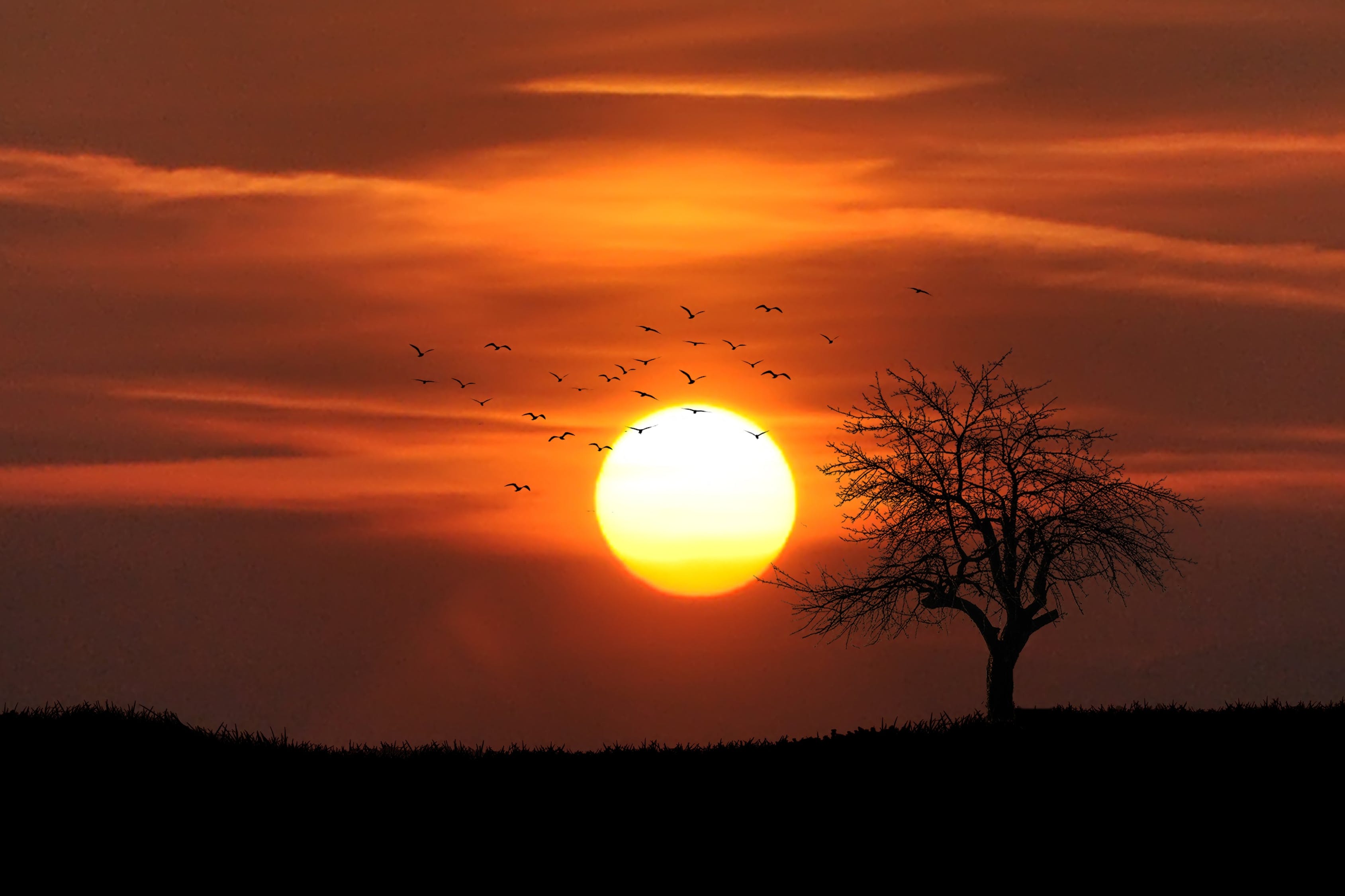 Ilustrasi Sunset di Planet Mars (Foto: pexels/pixabay)