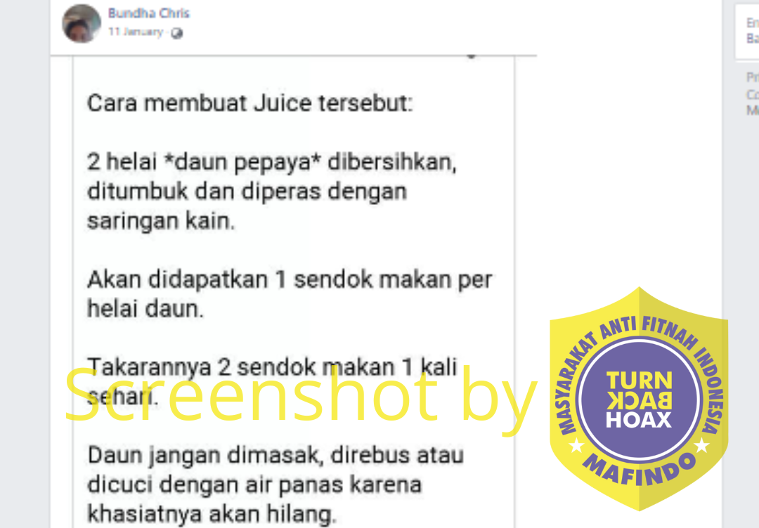 [HOAKS atau FAKTA]: Jus Daun Pepaya untuk Obat Demam Berdarah Dengue