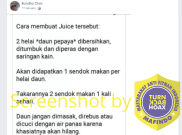 [HOAKS atau FAKTA]: Jus Daun Pepaya untuk Obat Demam Berdarah Dengue