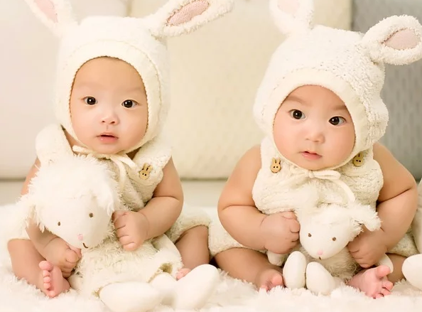 Ada risiko saat menginginkan bayi kembar melalui IVF (Foto: Pixabay/1035352)