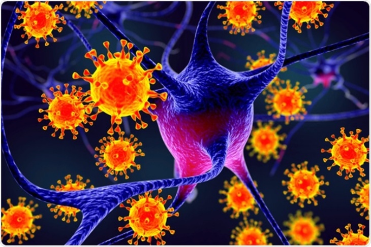 Mikrobiologi virus.  (Foto: News Medical) 