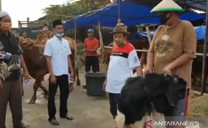 Pedagang hewan kurban di Jalan Kincan, Pondok Kelapa, Duren Sawit, Jakarta Timur, Jumat (24/7/2020). (ANTARA/Andi Firdaus)